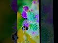 #ইসলামিক_শর্ট_ভিডিও #ওয়াজ_বাংলা #trading