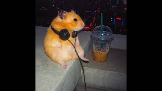 My Broadcast