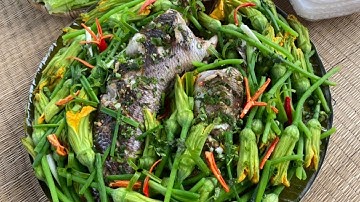 Buổi Chiều Lai Rai Cá Lóc Hấp Bông Bí | TQMT #230