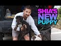 Delivering Shia Labeouf's New Puppy!