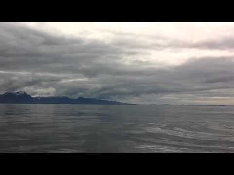 Ande Rasmussen Whale watching in Sitka, Alaska with Gallant