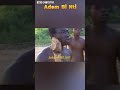 #trending #comedy #short #funny #viral DABI DABI PAA GEORGE,JUDAS ,KWAKU TUMASI,MICHAEL AFRANIE, PA