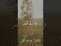 اسطورة هذا العصر الشيخ محمد الليثي القران الكريم المنشاوي الشيخ محمد الليثي اكسبلور القارء اسطورة هذا العصر الشيخ محمد الليثي القران الكريم المنشاوي الشيخ محمد الليثي اكسبلور القارء