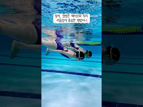 접영 발차기 계속 똑같이 차면 <strong>안되는거</strong> 아세요?
