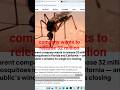 32 Million Mosquitoes #americafirst #breakingnews #dc