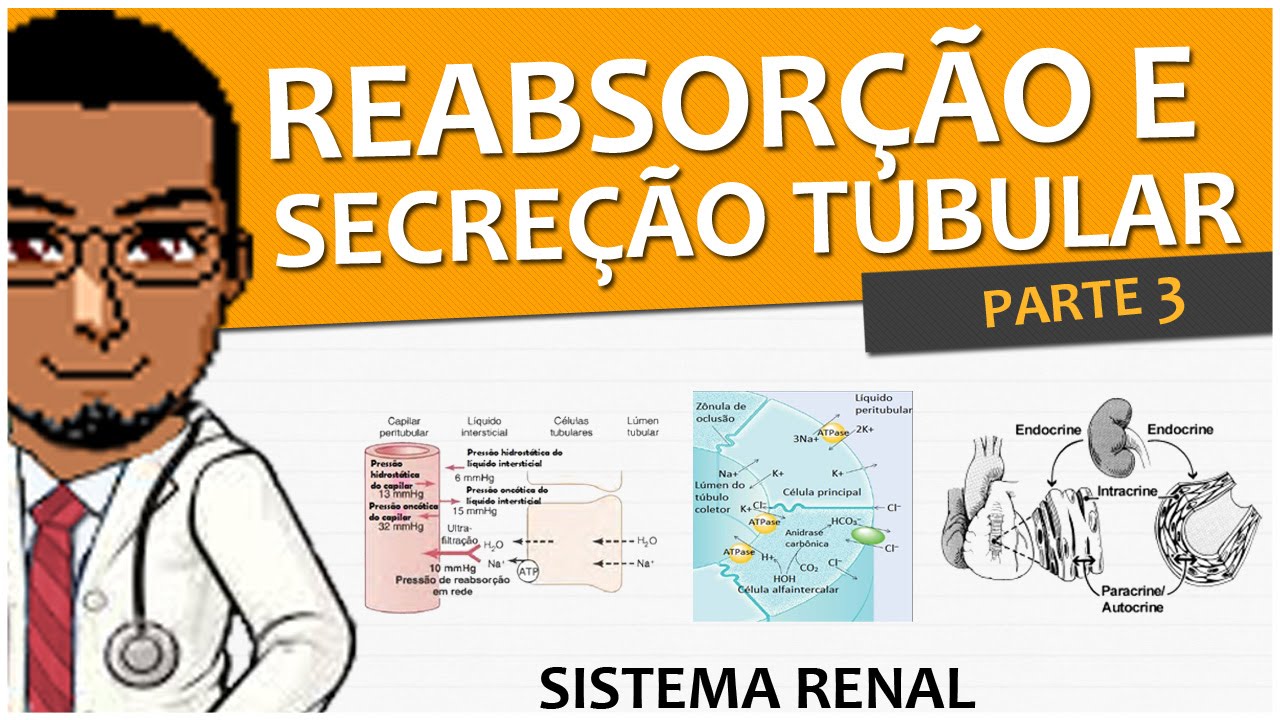 fisiologia patologica Sistema Renal/Urinário/Excretor 09 - Reabsorção e Secreção Tubular (P3) - ADH / Aldosterona