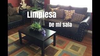 Limpiesa De Mi Sala