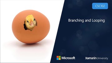 CSC102 - Branching and Looping
