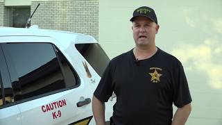 K-9 Training