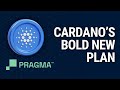 Cardanos bold new plan to elevate the ecosystem