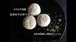 玄米もちの作り方　加茂自然農園 山崎徳哉チャンネル