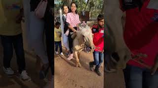 Mainpat Viral Horse Ride | #shortsfeed #ride #shorts #mainpat #travel #funny #ambikapur #trip #viral