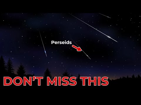 Perseids Meteor Shower