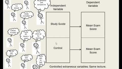 Random Sampling vs. Random Assignment
