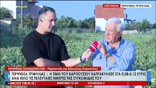 Η τιμή του καρπουζιού κατρακύλησε