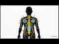 Real-Time Analytics & Streaming Platforms — Kafka and Flink in Modern Data Architecture | Uplatz