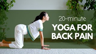 20 Minute Yoga for BACK PAIN | पीट दर्द के लिए योग @satvicyoga