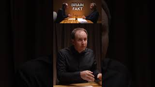 Brain Fakt Welche Rolle Spielt Der Alkohol Beim Einschlafen?