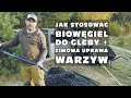 Jak stosować biowęgiel do gleby + zimowa uprawa warzyw