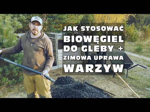 Wideo: Czy łaty z kamiennej koniczyny się utrzymują?