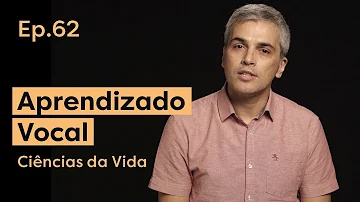 Como as aves aprendem a cantar?