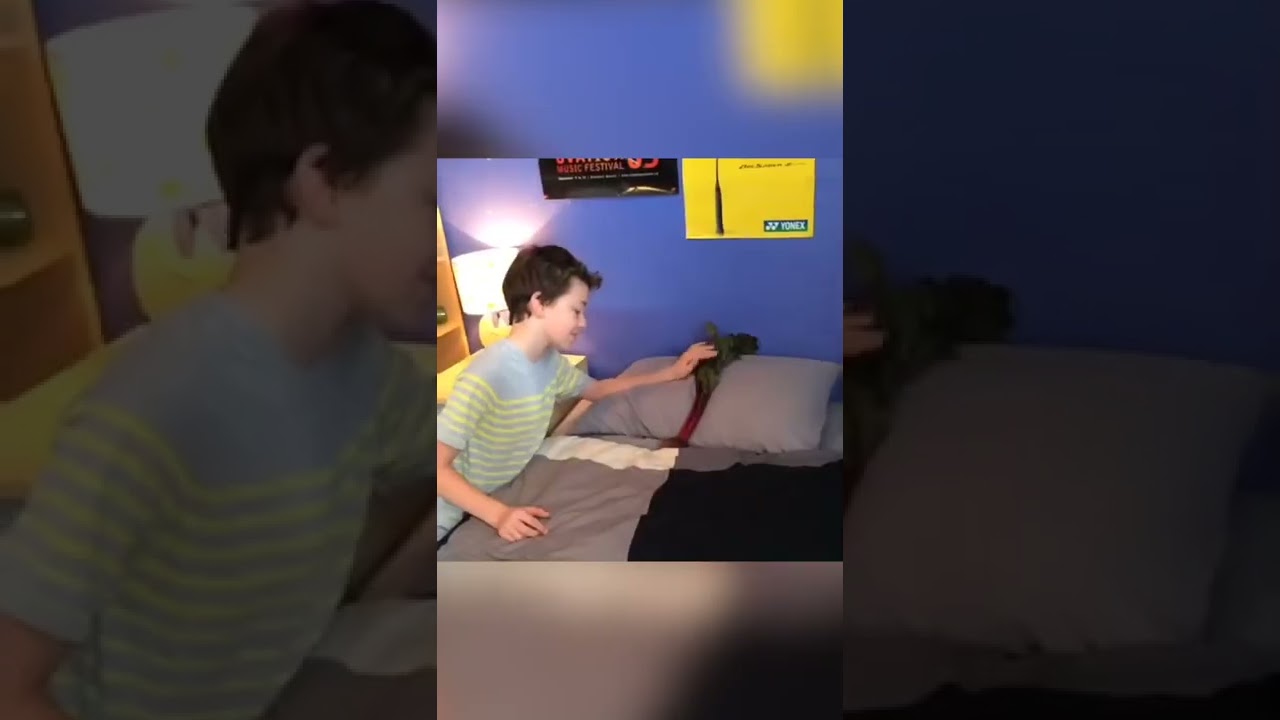 SNEEZED ON THE BEAT VINE