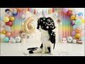 ハチ6歳バースデー生配信!!!初見さん大歓迎