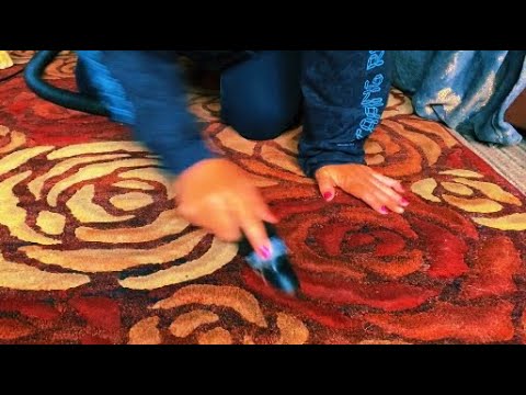 #vacuuming #asmr Pet Hair & PRETZELS