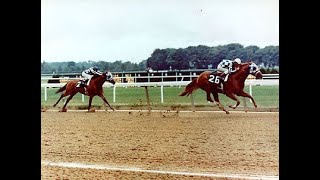 SECRETARIAT  1973 Marlboro Cup. Triple Crown, Secretariat the best Horse.