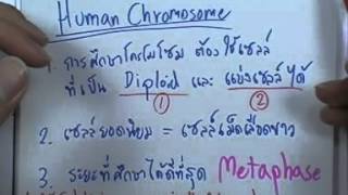 ormBio 154 : พันธุศาสตร์เบื้องต้น version2 ,ตอน01