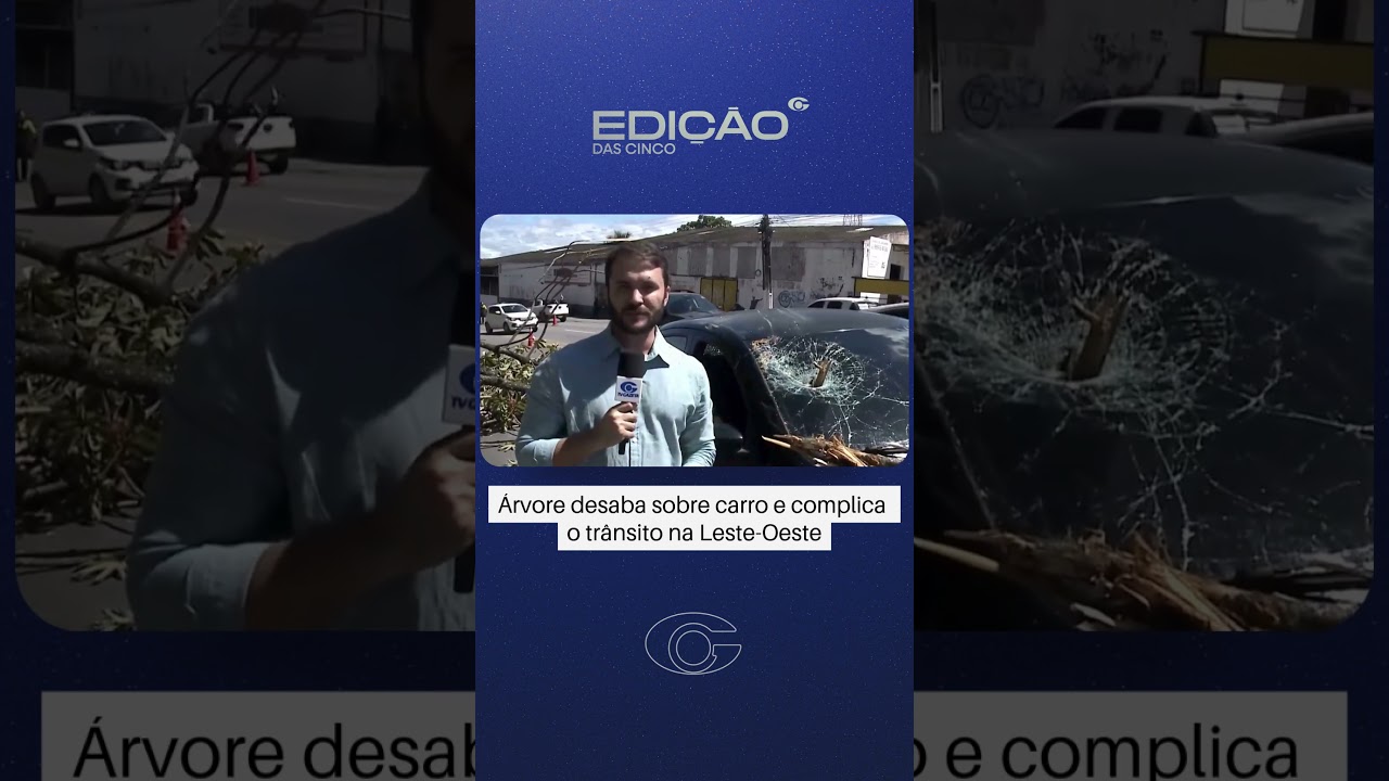 Árvore desaba sobre carro e complica trânsito na Leste-Oeste