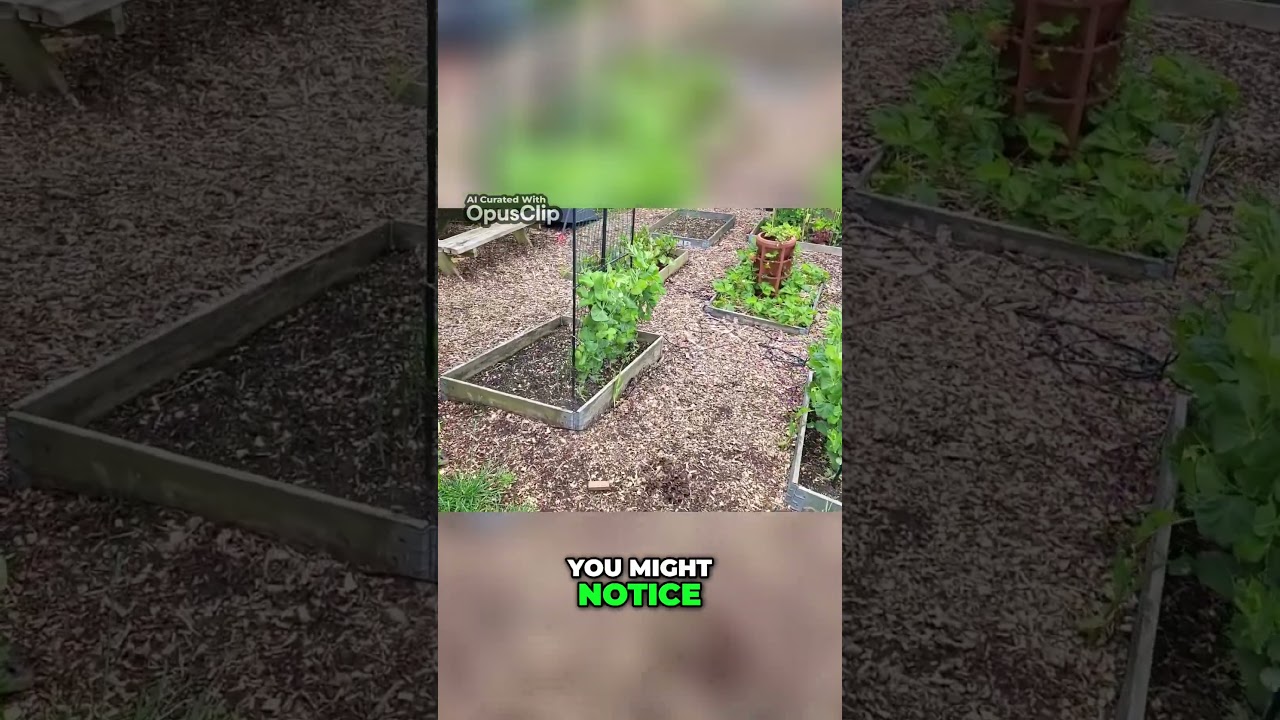 Create a Productive and Budget-Friendly Garden with Wood Chips and Recycled Items 