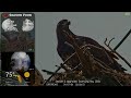 🦅Yesterday at SuperBeaks | Apr 27, 2026 - Close-Ups for Every Birdie!🔍Mira &amp; Zeagle photo shoot!💕
