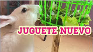 Juguetes para conejos by Vida de un conejo 1,433 views 3 weeks ago 6 minutes, 16 seconds