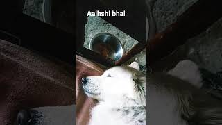##new 10 subscribe Karo ##