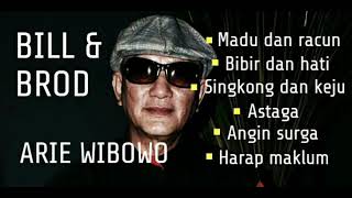 Kumpulan Lagu lagu Ari Wibowo