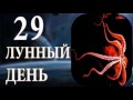 29 Лунный день.