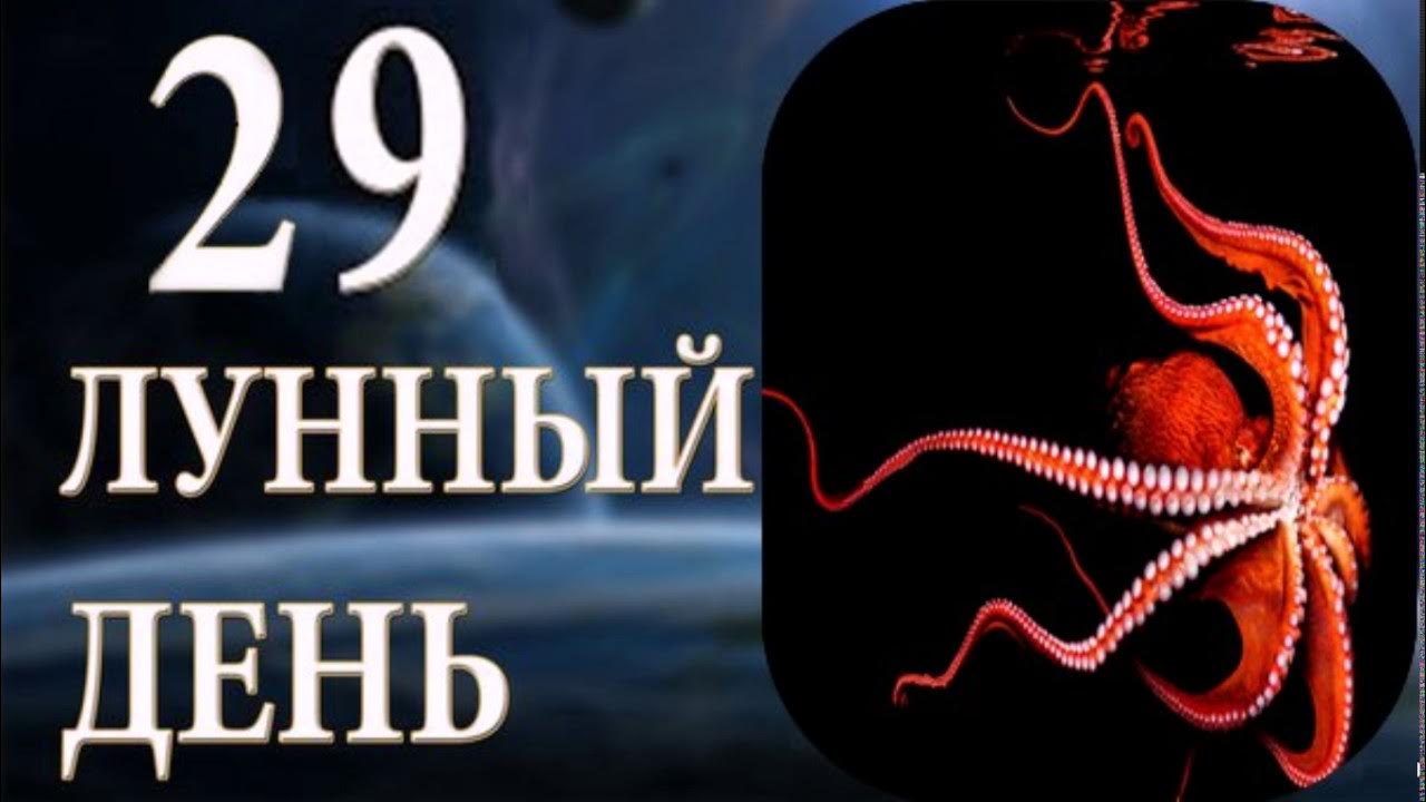 29 лун сутки. Спрут 29 лунный день. Символ 29 лунного дня. 29 Лунный день характеристика. 29 Лунный день характеристика дня.