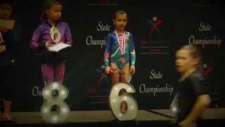 Level 1 State Championships