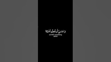 #القارئ : مشاري العفاسي #سـورة : البقرة الآية ٢١٦