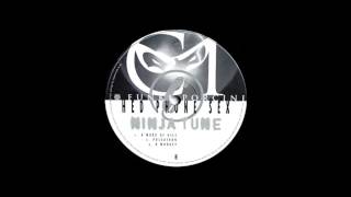 Funki Porcini - B Monkey