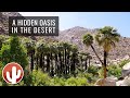 Borrego palm canyon trail hike 4k  anzaborrego desert state park california