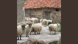 Basque Country Sheep Bells