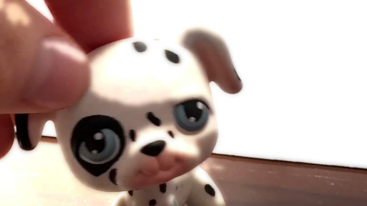 LPS Navy Eyes Music Video  (MV),  Midnight Till  Morning Tribute