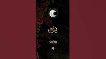 سورة المزمل تلاوة هادئة 🥺❤ #fypシ゚viral #اكسبلور #المصحف #quran #قرآن #لايك #قران_كريم #تلاوة_خاشعة