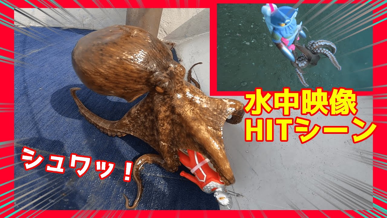 タコ釣り】ウルトラセブンやバルタンでタコは釣れる！？【水中映像アリ