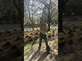 FINALLY SPRING 🫰 #blooper #fypシ #dancetrend #tiktokdance #umamusume