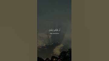 سورة_النساء  آية ٥٨||حالات واتس قرآن || تلاوة #مشاري_العفاسي
