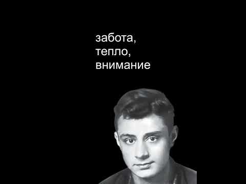 Стихи // Что такое счастье? // Эдуард Асадов #shorts #poetry #поэзия #стихи