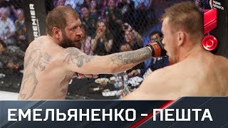 Александр Емельяненко техническим нокаутом победил Виктора Пешту